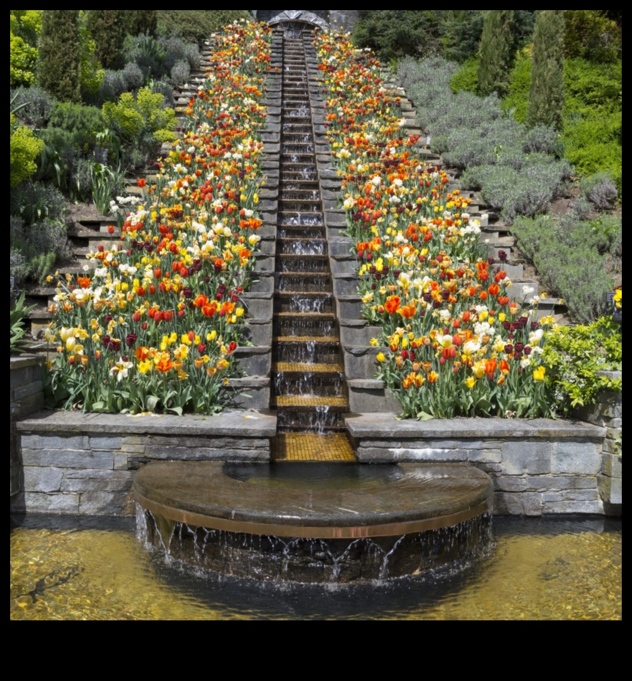 ساحر في الهواء الطلق: انغمس في عالم فن الحدائق