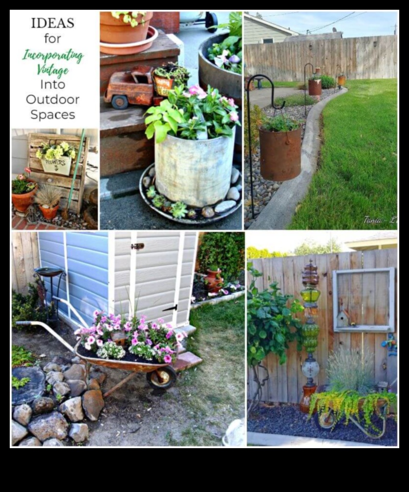 كنوز الحديقة: زيّن مساحتك بذوق بارع