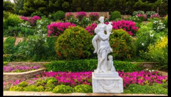 كنوز الحديقة: زيّن مساحتك بذوق بارع