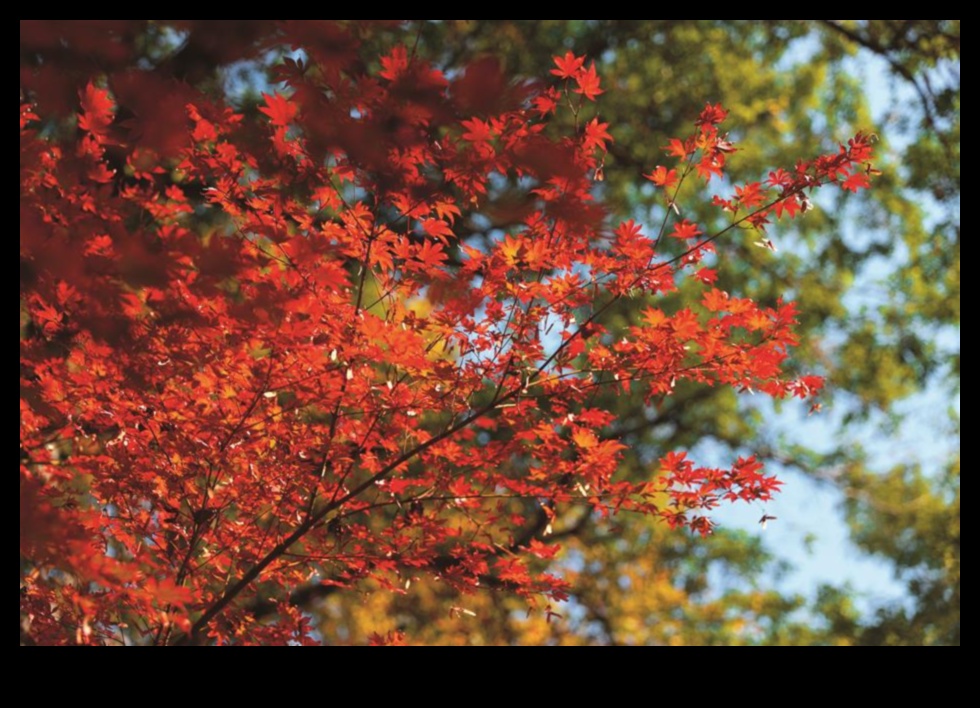 الحديقة الذهبية: بلوم في الذهب المشع