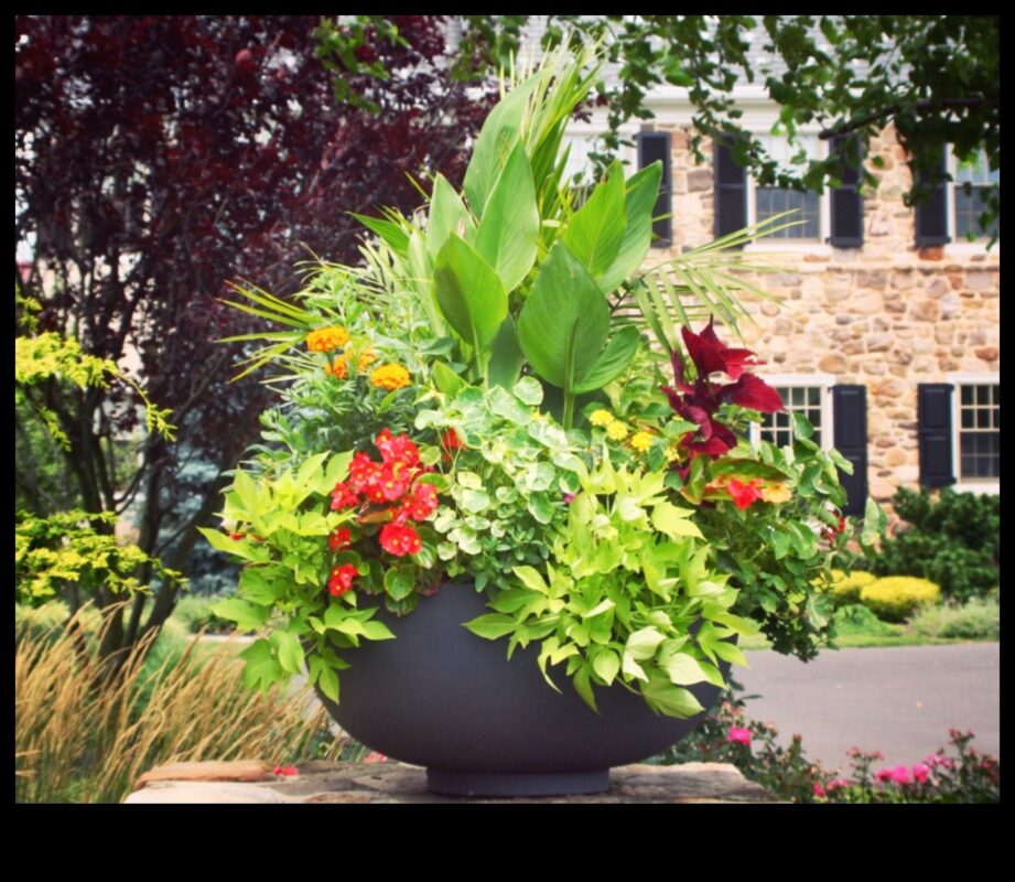 الجمال الناشئ: فن وعلم البستنة الحاوية