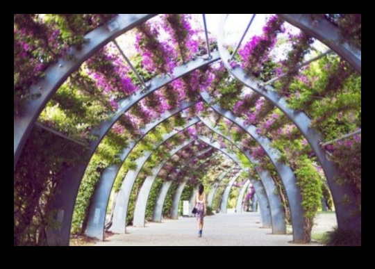 Blossom Bliss: اكتشف جاذبية اتجاهات ديكور الحديقة