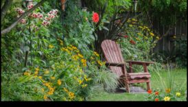 أزهار صديقة للميزانية: إلهام DIY لحديقة مورقة