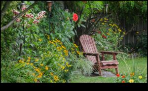 أزهار صديقة للميزانية: إلهام DIY لحديقة مورقة