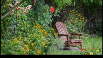 أزهار صديقة للميزانية: إلهام DIY لحديقة مورقة