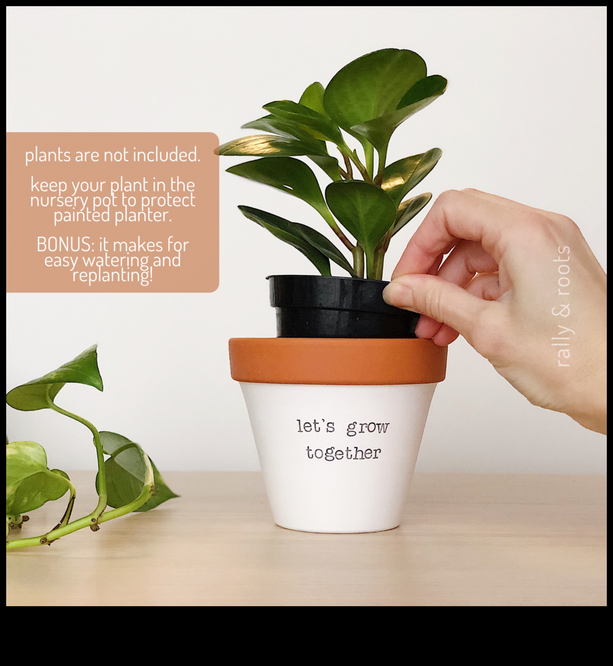 أزهر في المكان الذي تزرع فيه: حكمة البستنة في الحاويات