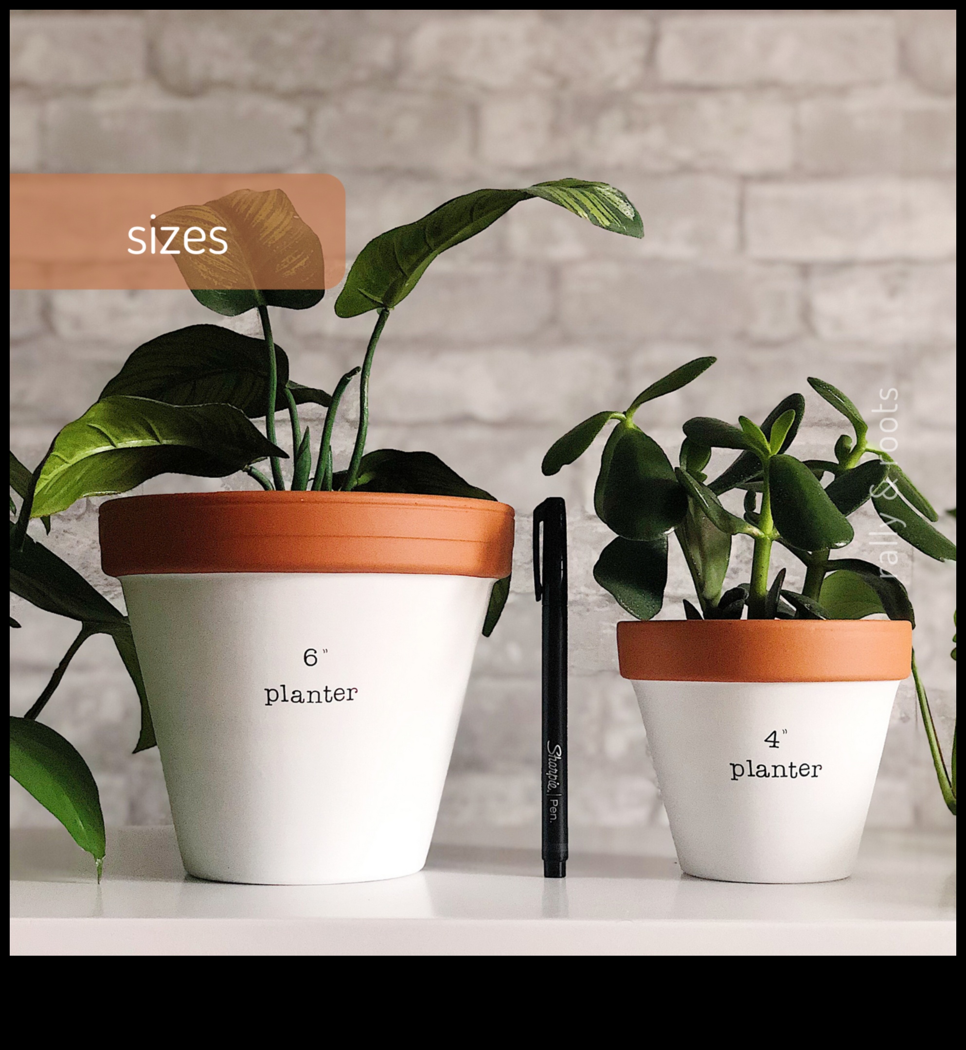 أزهر في المكان الذي تزرع فيه: حكمة البستنة في الحاويات