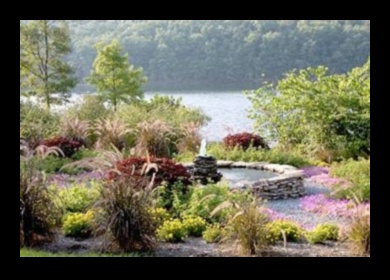 الصفاء المنحوت: إعادة تعريف أناقة تصميم الحدائق