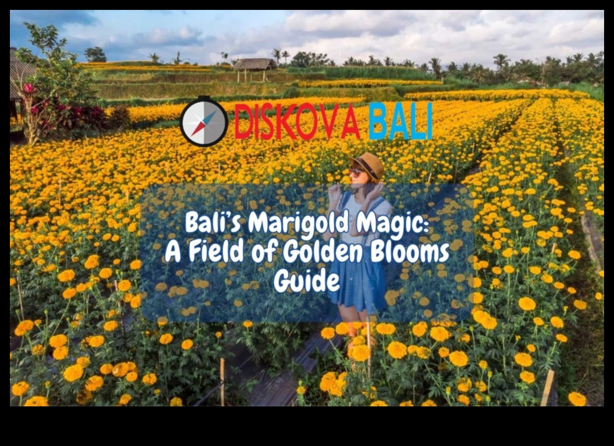 الحديقة الذهبية: بلوم إن راديانس