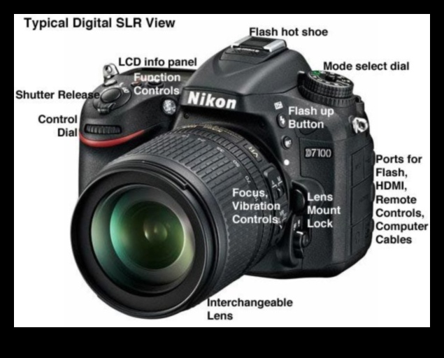 أحلام DSLR: التنقل في عالم الكاميرات الرقمية العاكسة ذات العدسة الواحدة