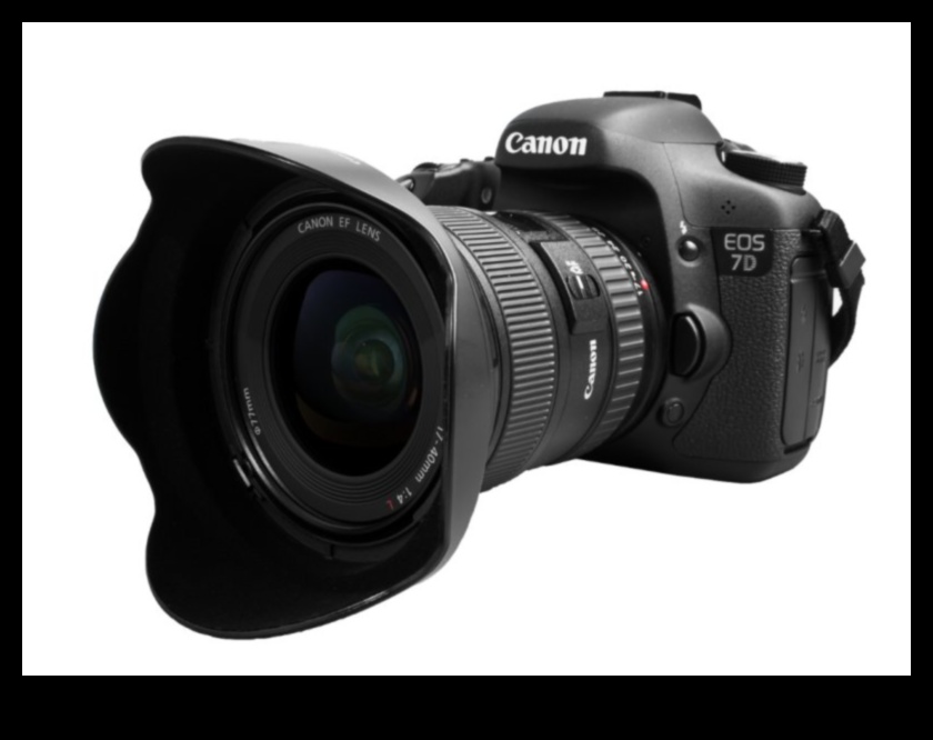 أحلام DSLR: التنقل في عالم الكاميرات الرقمية العاكسة ذات العدسة الواحدة