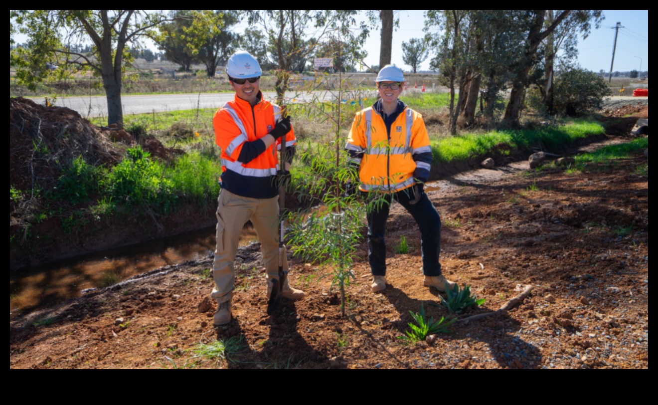 أكثر خضرة معًا: ممارسات تعاونية لصيانة الحدائق المثلى