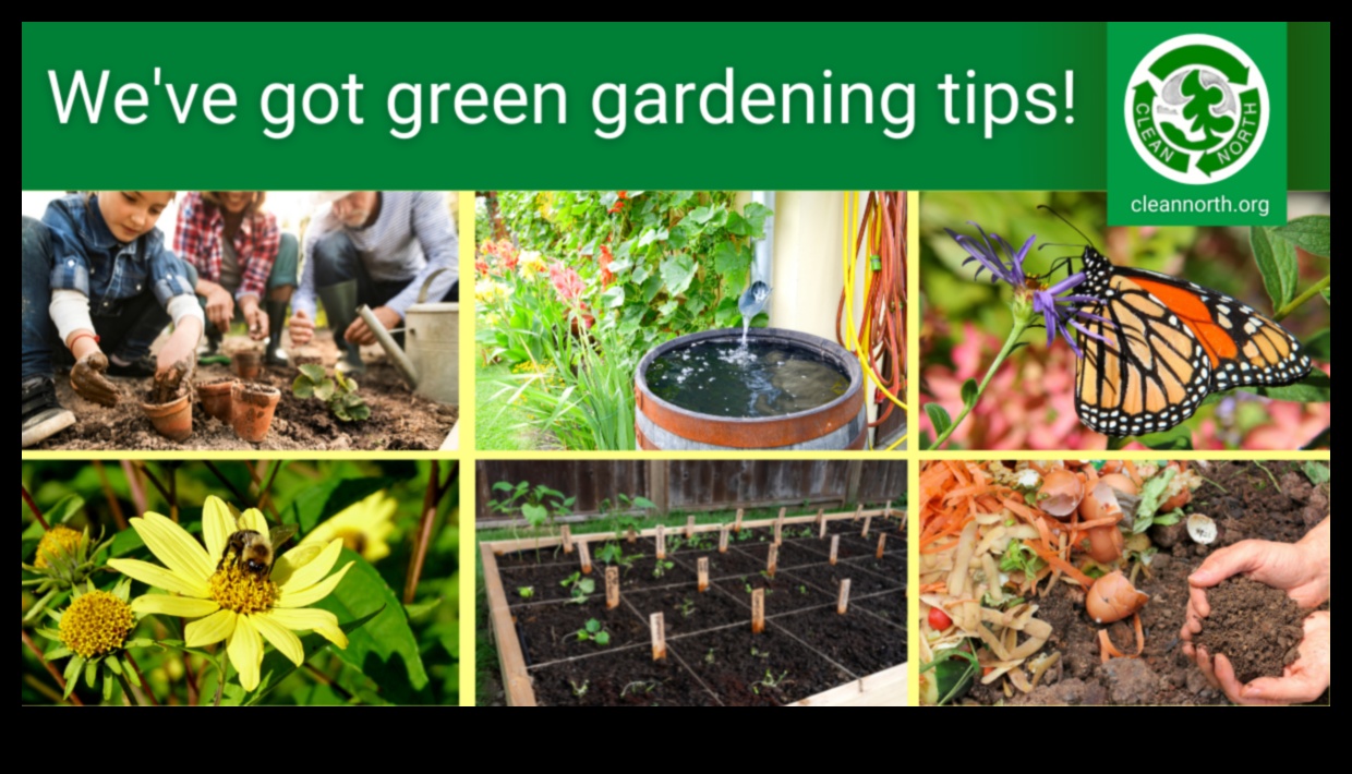 أكثر خضرة معًا: ممارسات تعاونية لصيانة الحدائق المثلى