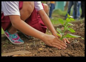 أكثر خضرة معًا: ممارسات تعاونية لصيانة الحدائق المثلى