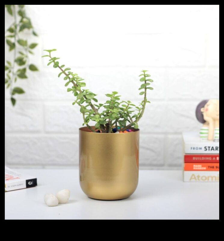 وعاء من الذهب: نصائح لزراعة الحاويات لتحقيق النجاح المزدهر