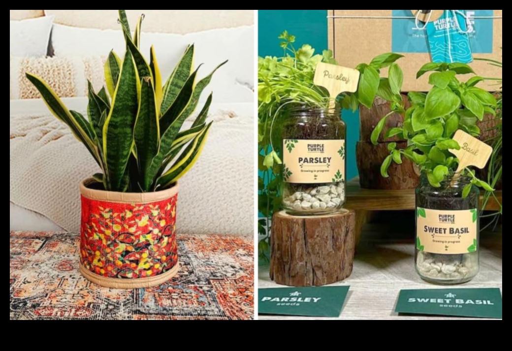 أناقة صديقة للبيئة: هدايا خضراء لعيد ميلاد محب للأرض