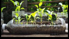 حدائق صديقة للبيئة: مشاريع DIY مستدامة للجميع