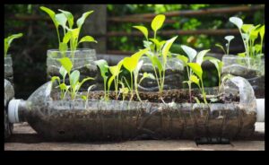 حدائق صديقة للبيئة: مشاريع DIY مستدامة للجميع